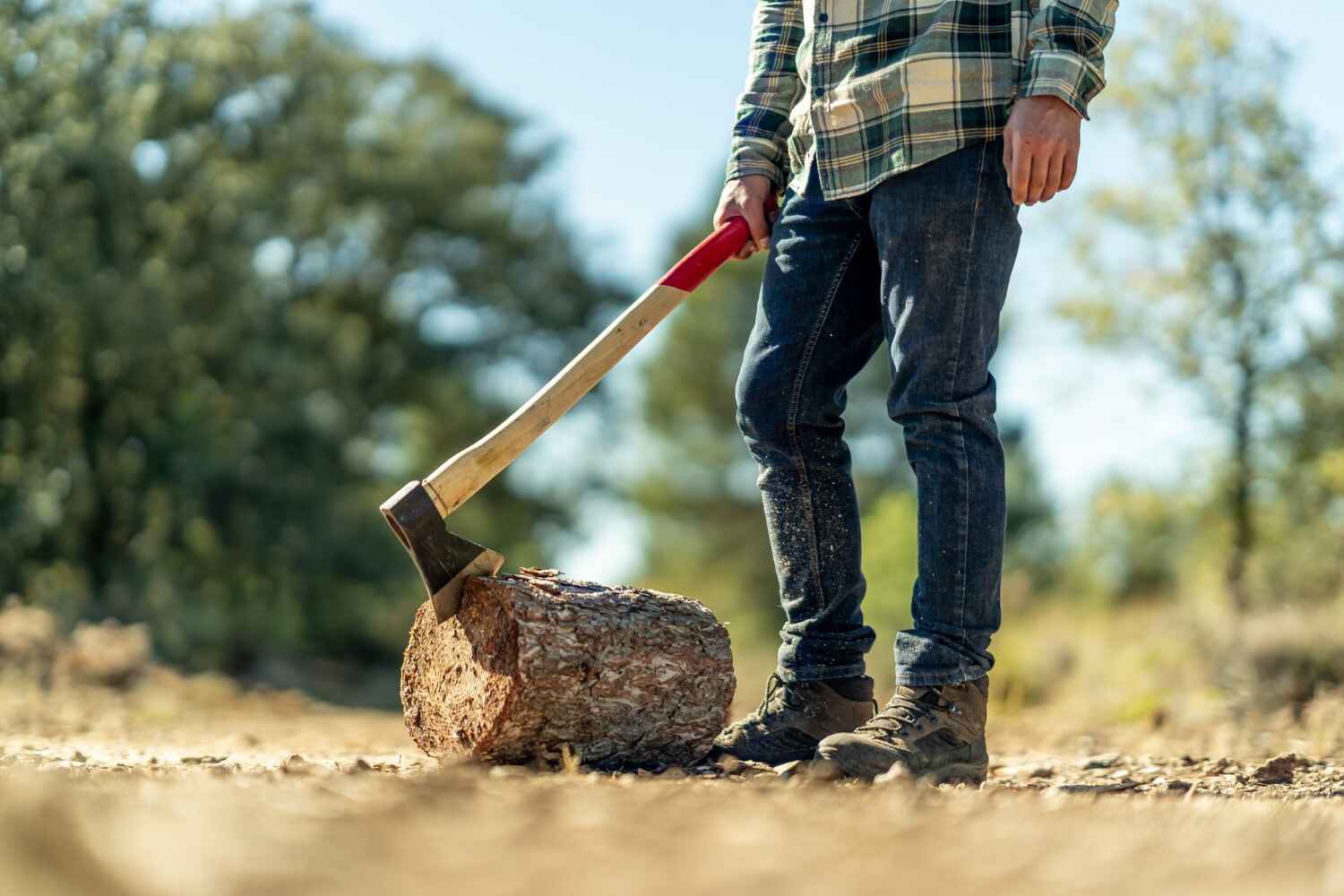 Best Dead Tree Removal  in Pevely, MO